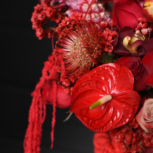 《福气满满》中号冬青粉菠萝大花蕙兰年宵花 商品图6