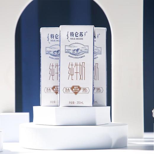 蒙牛 特仑苏 纯牛奶 250ml*12盒 商品图2