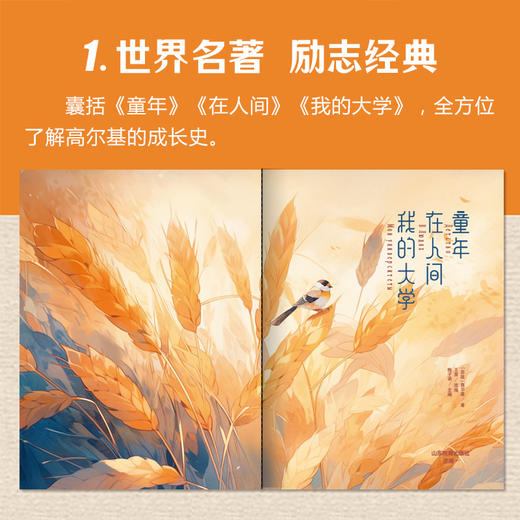 童年 在人间 我的大学 商品图5