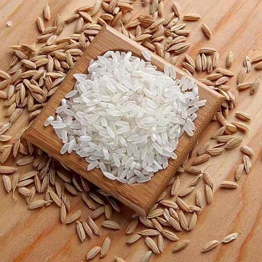 【东北外运】吉林万昌大米 东北大米 稻花香/小粒香 5kg 商品图0