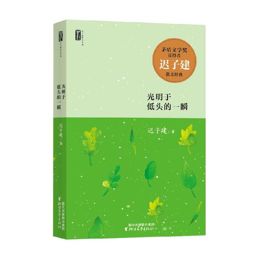 光明于低头的一瞬 迟子建 著 散文 商品图0