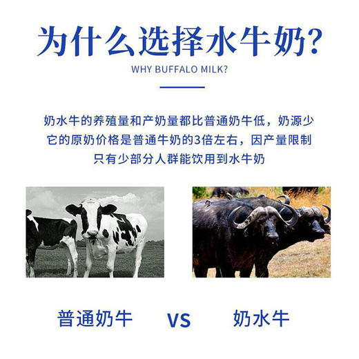 破价每月限时团『原野水牛纯牛奶』浓醇丝滑，自然甘甜，每盒含8g乳蛋白 商品图7