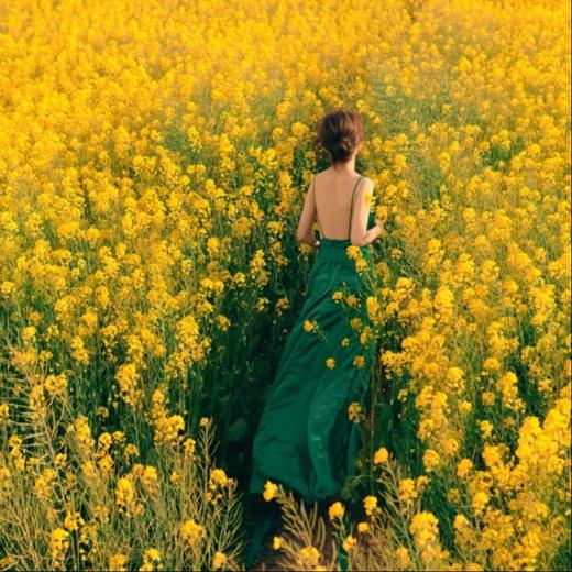 美宿 | 春田花事·贵州5天4晚 商品图1