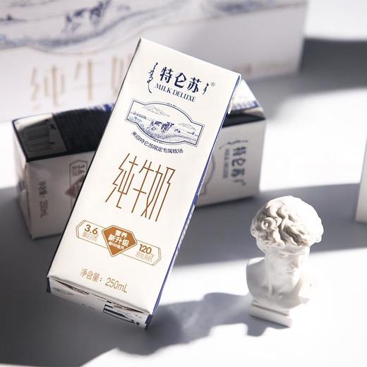蒙牛 特仑苏 纯牛奶 250ml*12盒 商品图5