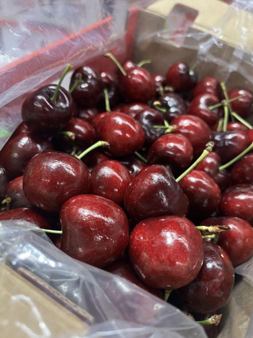 都乐4J车厘子（5斤装）一箱 商品图5