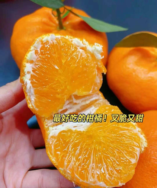柑橘中的爱马仕，甘平！皮超级薄，果肉是脆甜的！就像吃奢侈品，又大又甜又不用削皮！橘子控爱了爱了！4.5-5斤/箱，6-9头 商品图0