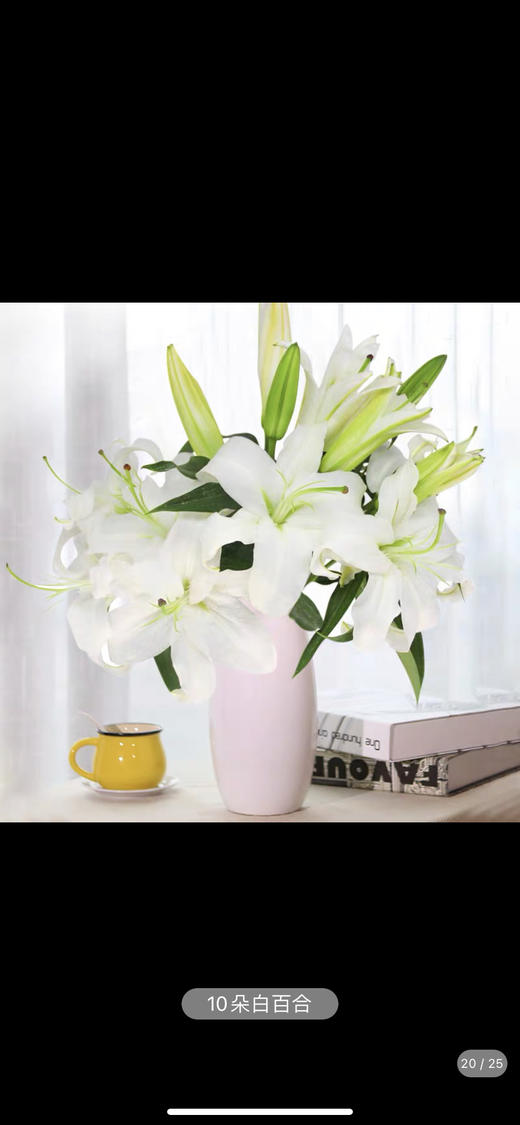 【新春福利】𝐒𝐩𝐫𝐢𝐧𝐠 𝐟𝐞𝐬𝐭𝐢𝐯𝐚𝐥预约优惠 商品图2