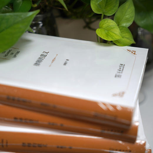 《律师的意义》 章敬平著  商务印书馆  一本针对青年律师学习的工具书 商品图6