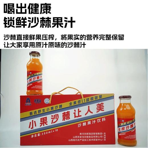 MT箱-野生沙棘果汁3.6kg300ml*10 商品图3