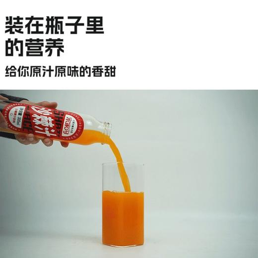 宋家沟玻瓶沙棘果汁红标4.5kg300ml*15 商品图3