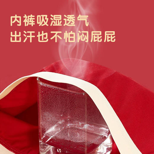 猫人龙年儿童男孩女孩平角纯棉内裤   XHR 商品图3