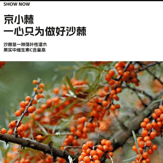 宋家沟铝箔袋沙棘原浆便携装1.8kg30ml*5*12 商品图5