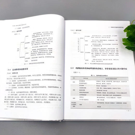 鸡常见病症状鉴别诊治 【官方正版，可开发票，下单时留开票信息和电子邮箱】 商品图3