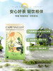 Cape Valley开普山谷南非博士茶国宝茶不含咖啡因（绿茶） 商品缩略图1