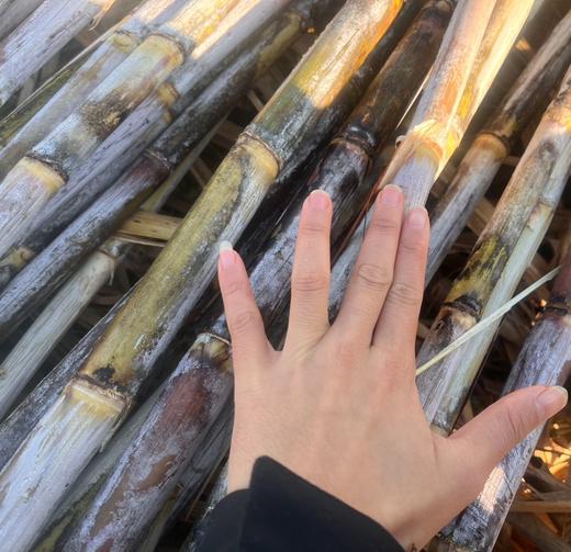 生态红糖 | 古法熬制 | 公平贸易 * Brown Sugar | Fair Trade 商品图4