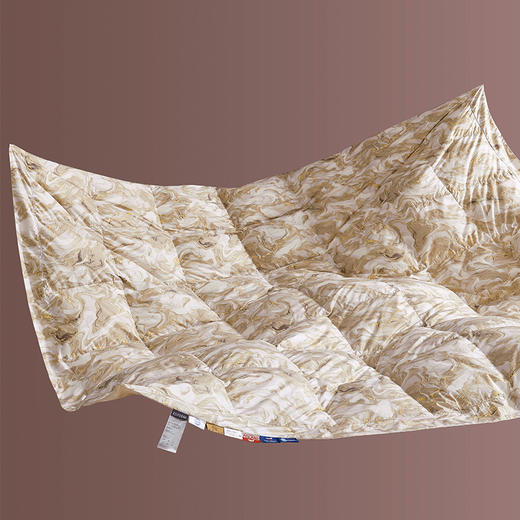 丽芙城堡可水洗鹅绒春秋被 商品图3