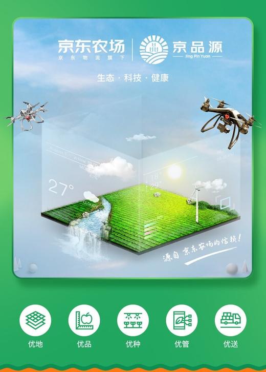 京小棘 铝箔袋沙棘原浆礼盒 2.4kg30ml*80 商品图2