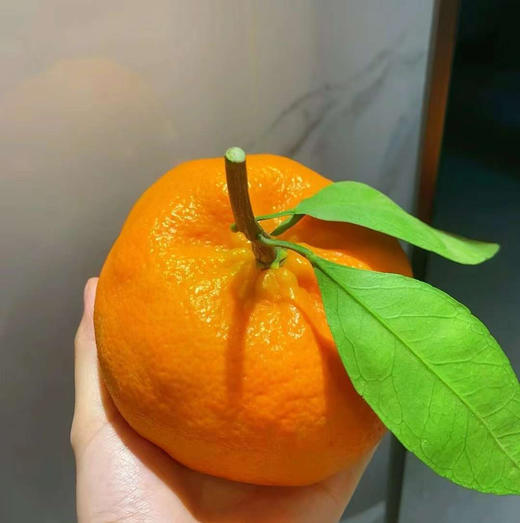 柑橘中的爱马仕，甘平！皮超级薄，果肉是脆甜的！就像吃奢侈品，又大又甜又不用削皮！橘子控爱了爱了！4.5-5斤/箱，6-9头 商品图2