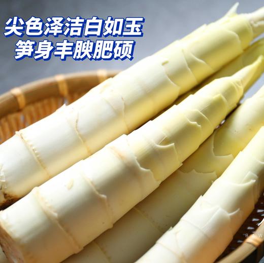 【春笋】仅春季限定产出，临安深山竹林现挖去老根发货，赏味期只有二十天，鲜嫩脆爽，这鲜嫩的程度，吃过才知道~ 商品图2