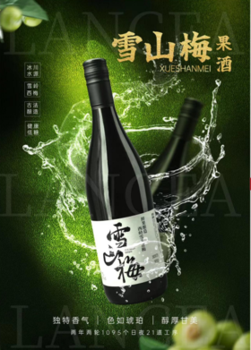 盛年甄选-雪山梅酒青梅果酒