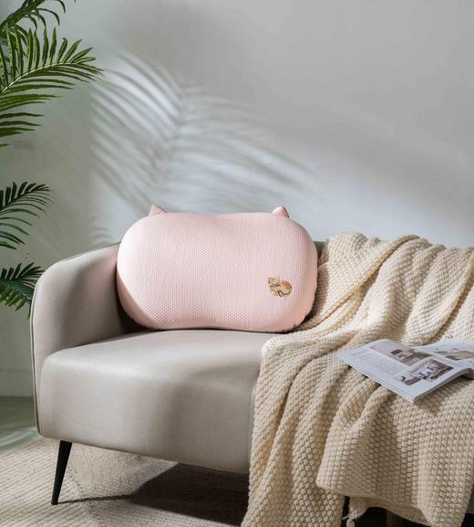 【远梦】舒弹心悦记忆枕 商品图2