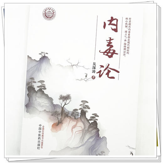 内毒论 吴深涛 著 中国中医药出版社 商品图3