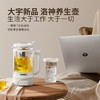 大宇洛神迷你养生壶DY-YS10 商品缩略图4