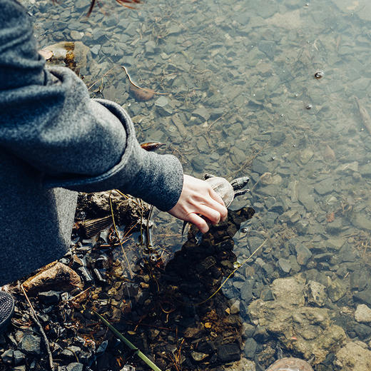 新年新生 生生不息 商品图2