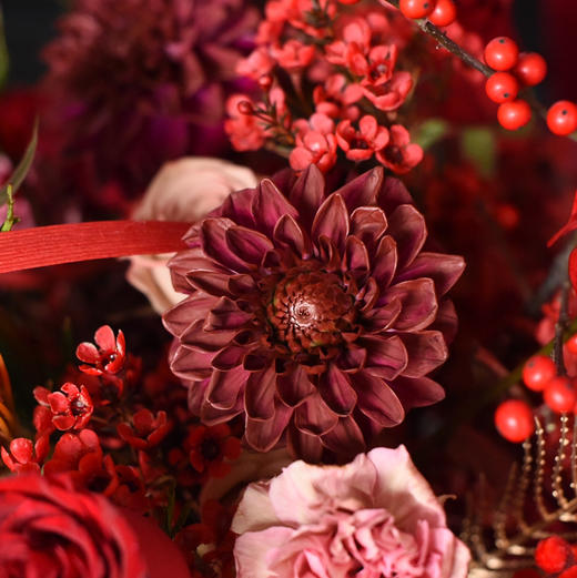 《福气满满》中号冬青粉菠萝大花蕙兰年宵花 商品图9