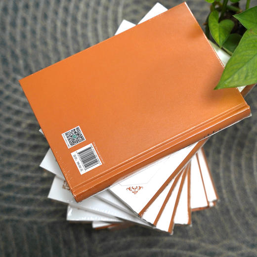 《律师的意义》 章敬平著  商务印书馆  一本针对青年律师学习的工具书 商品图7