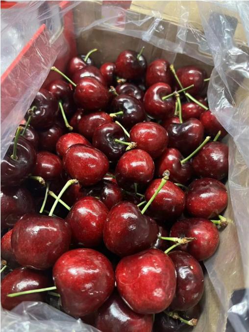 都乐4J车厘子（5斤装）一箱 商品图4