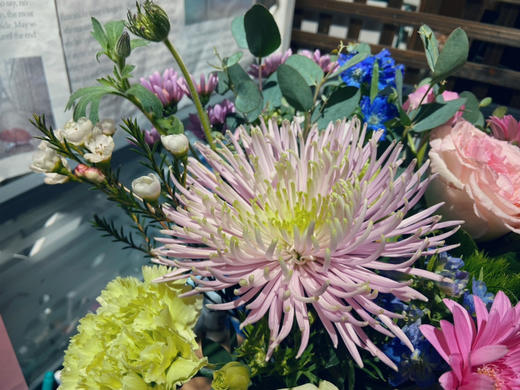 精选瓶花•【烟花绽放】温暖精品系列〔下单新鲜搭配〕不加花瓶 商品图6