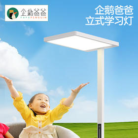 企鹅爸爸定制款大路灯--全光谱（确定收货后返现500元）