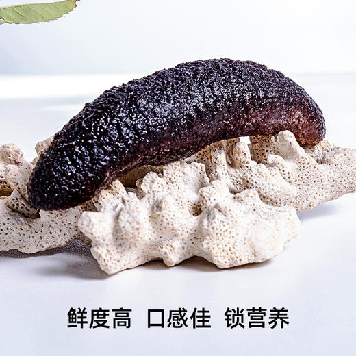 美丽石岛 即食海参1.5kg/箱 商品图1
