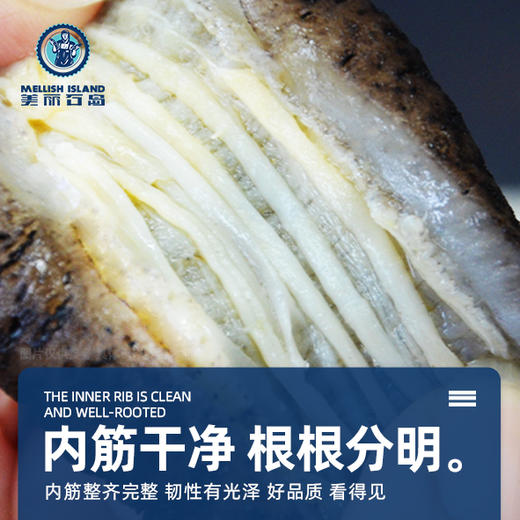 美丽石岛 即食海参1.5kg/箱 商品图2