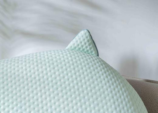 【远梦】舒弹心悦记忆枕 商品图6