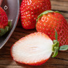 企鹅市集|四川大凉山 隋珠草莓多规格可选 香野草莓 脆嫩甜蜜 商品缩略图4