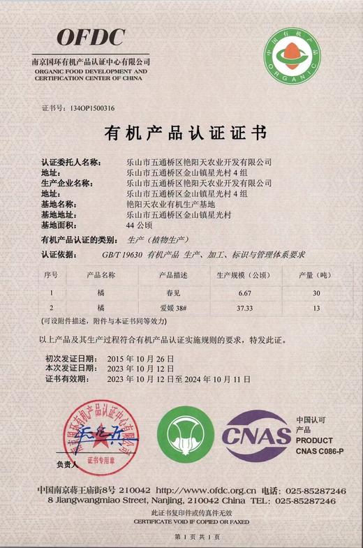 四川.乐山偷牛山  有机春见耙耙柑 商品图5