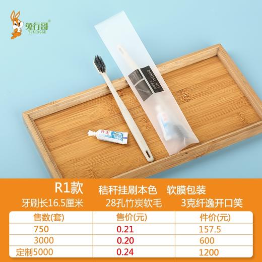 二合一R1 商品图0