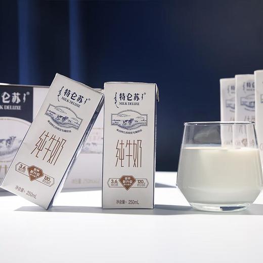 蒙牛 特仑苏 纯牛奶 250ml*12盒 商品图3