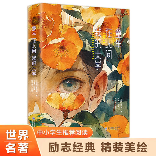 童年 在人间 我的大学 商品图0