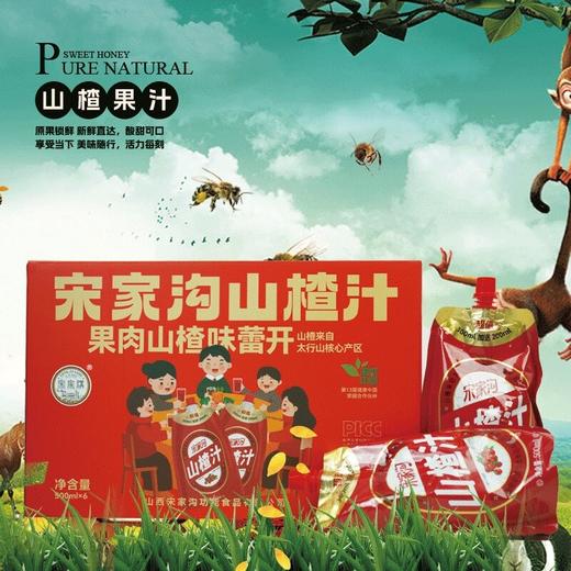 宋家沟铝箔袋山楂汁礼盒3kg500ml*6 商品图2