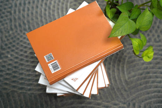 《律师的意义》 章敬平 著 商务印书馆 商品图7