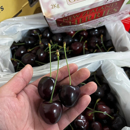 高品【新西兰 科迪亚】空运 新西兰30mm+科迪亚 车厘子，车厘子中天花板，高颜值高口感，高品！ 商品图4