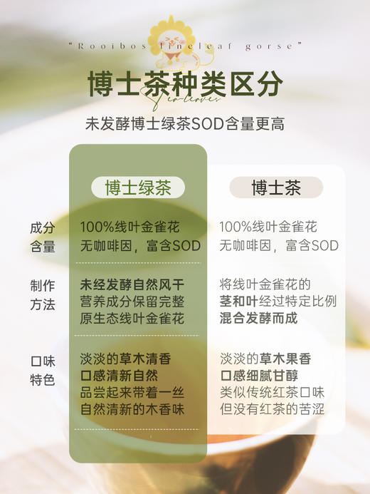 Cape Valley开普山谷南非博士茶国宝茶不含咖啡因（绿茶） 商品图3