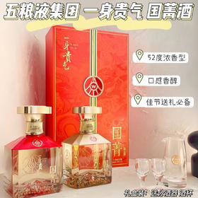 五粮液 国菁 浓香型绿豆酒「一身贵气」【500ml*2瓶+分酒器*1+酒杯*2】