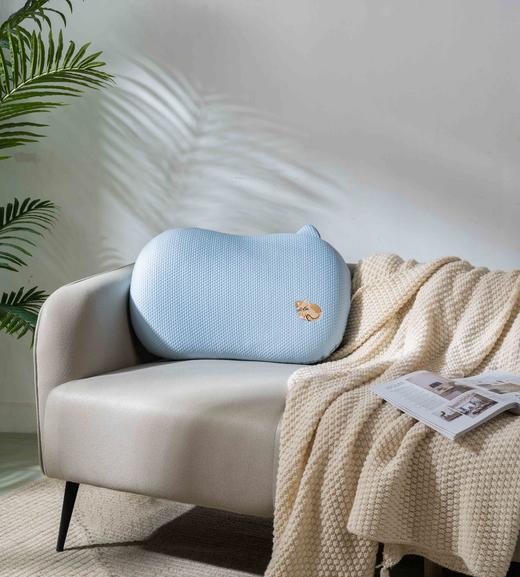 【远梦】舒弹心悦记忆枕 商品图1