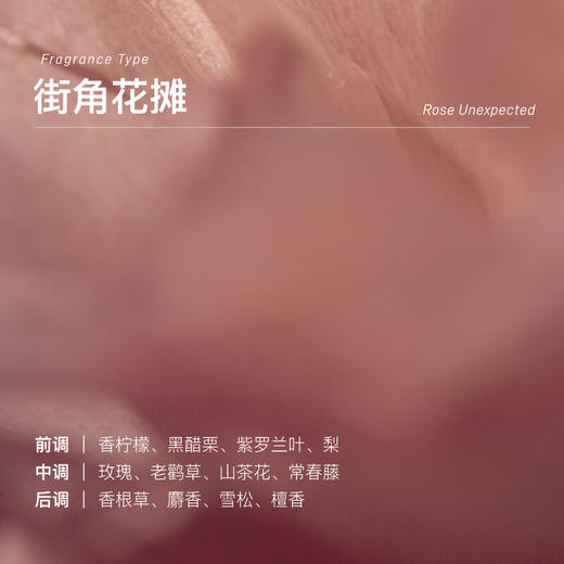 chillmore  身体护理礼盒  漫游寻香礼盒沐浴乳300ml+身体乳240ml 商品图3