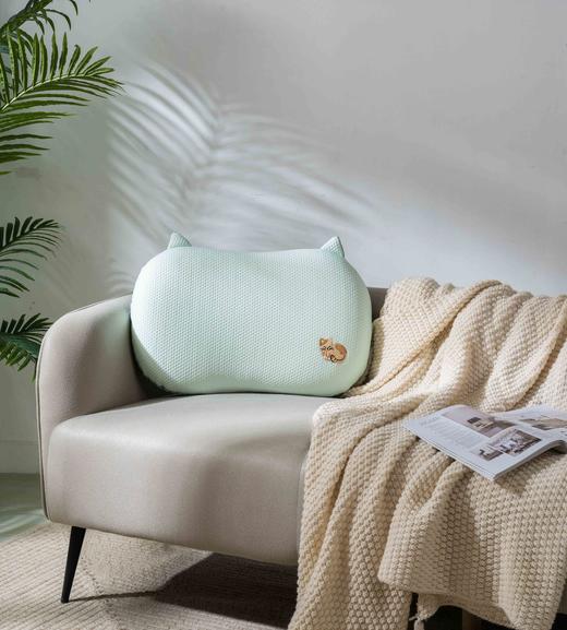 【远梦】舒弹心悦记忆枕 商品图3