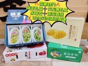 晴王礼盒+火龙果礼盒+水仙芒+莲花香橙套餐